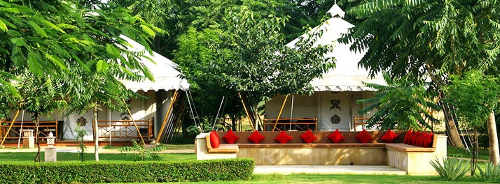 1563/The Green House Resort - Pushkar 07.jpg